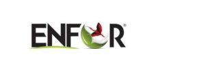 Enfor Logo